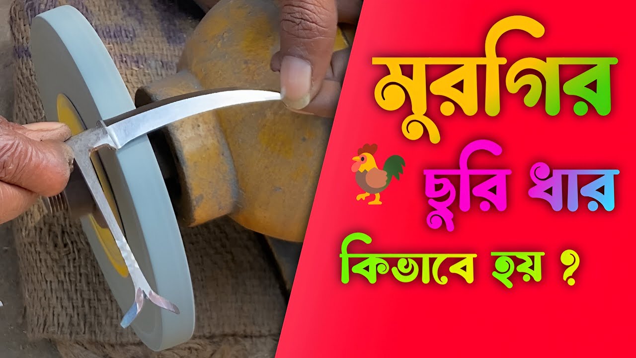 মুরগির ছুরি ধার কিভাবে হয় ? | Murgi Chhuri Dhar Kivabe Hoy ? | New Video 