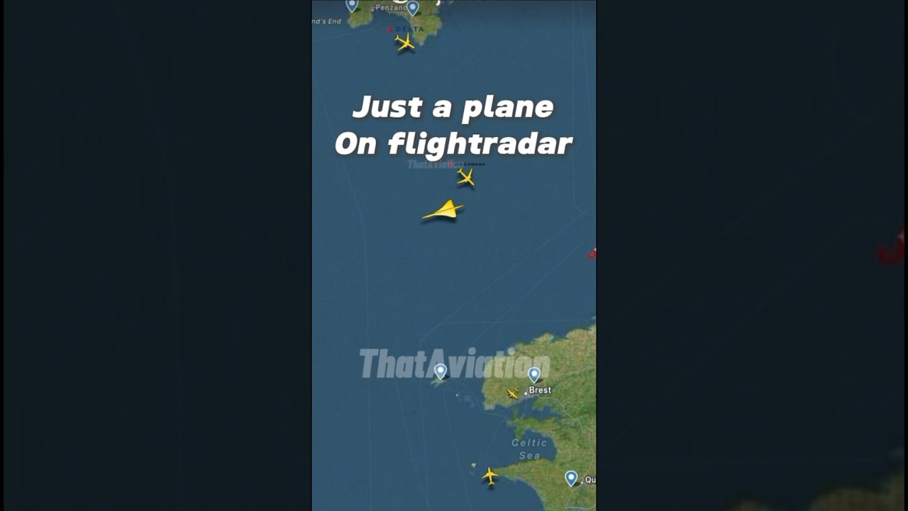 Those who know.. 😳#aviation #concorde #speedofsound #flightradar24 #flight