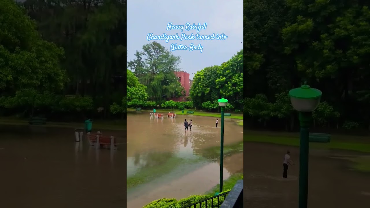 Heavy Rainfall Chandigarh Park turned into Water Body #india #chandigarh #nature #waterlogging