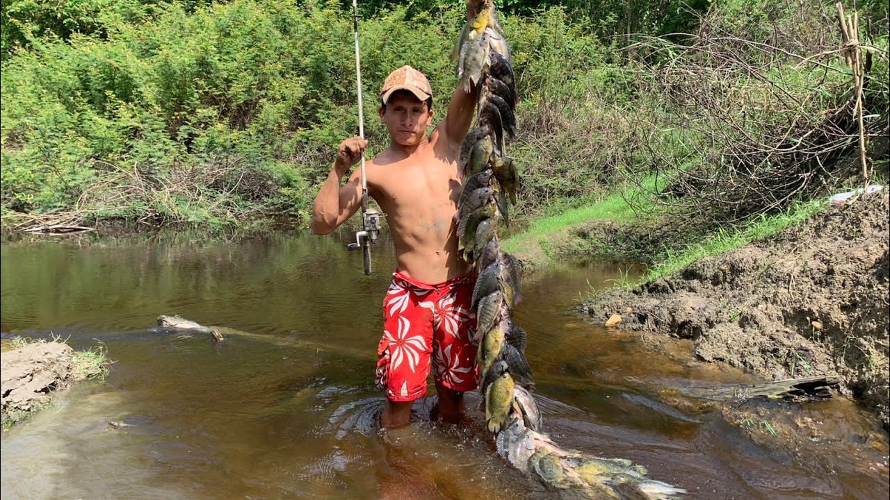 este lago está lleno de tilapias mojarras pescando con la mejor carnada