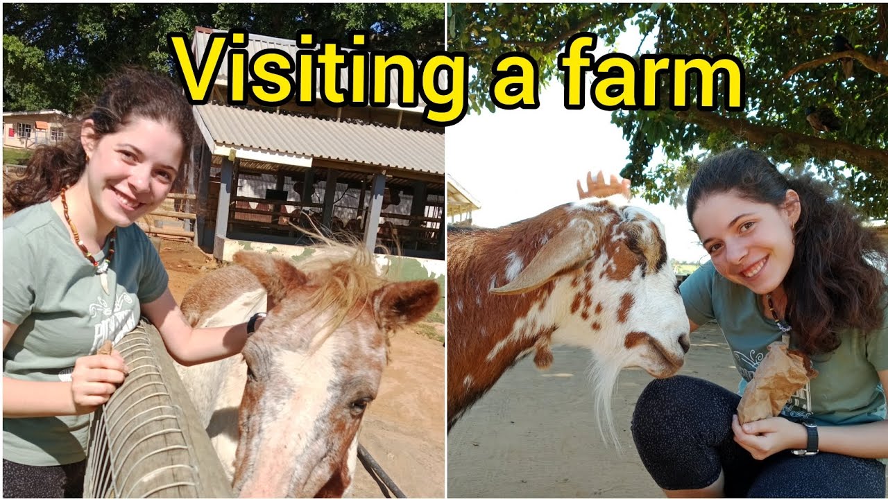 I Visited a Farm | Animal Sanctuary