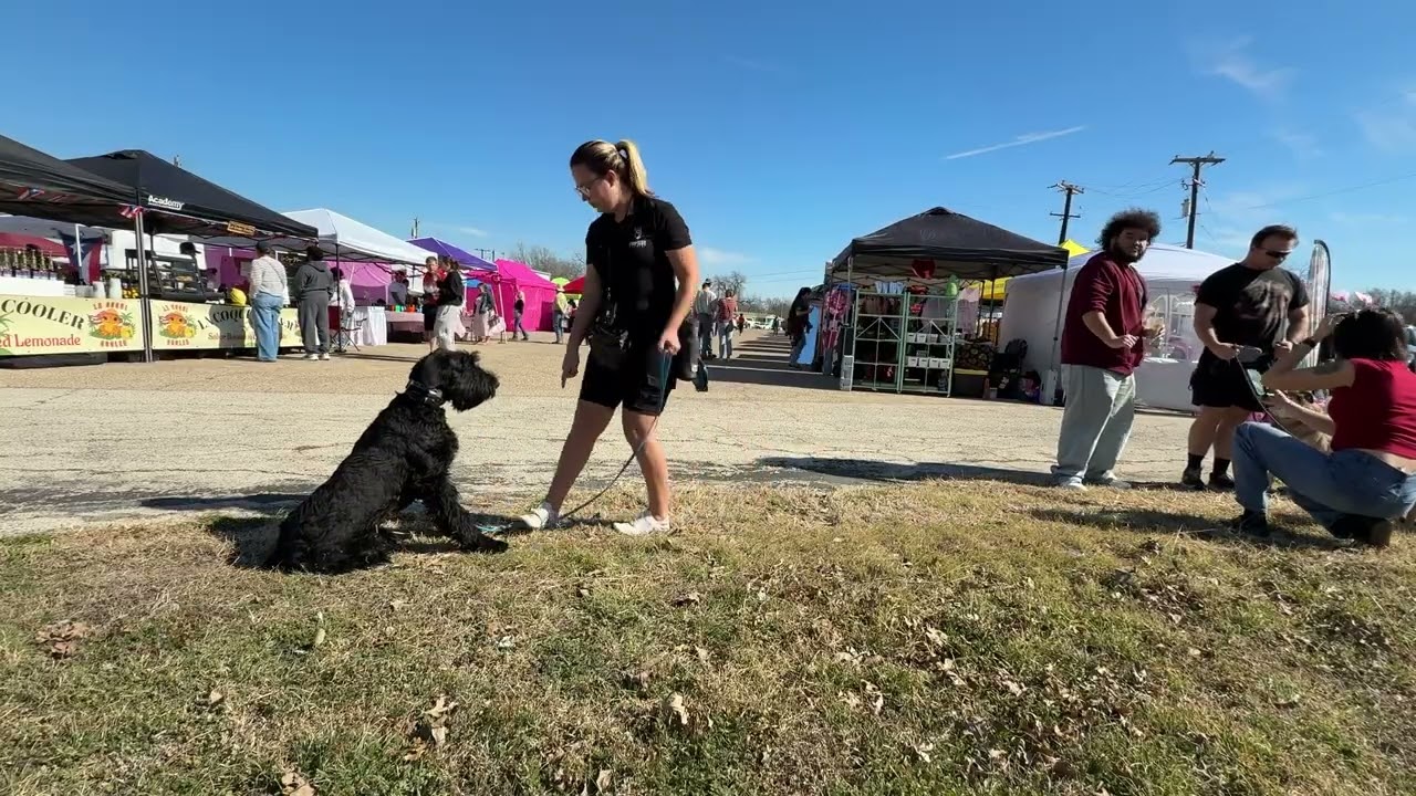 Ridge: Downs at the Festival