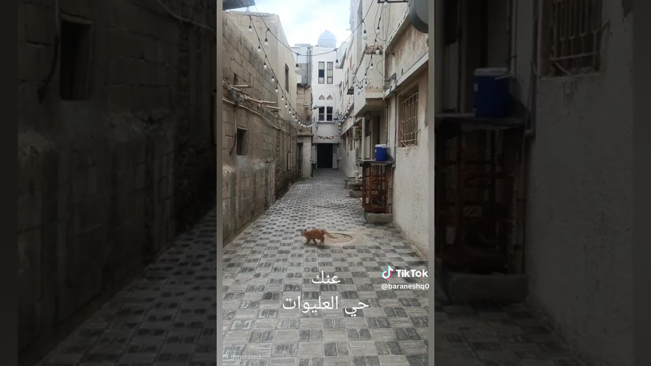 منازل الطيبين