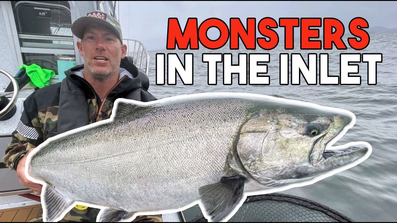 Chasing MONSTER Salmon | Grinding Rivers Inlet for  Legendary Chinook