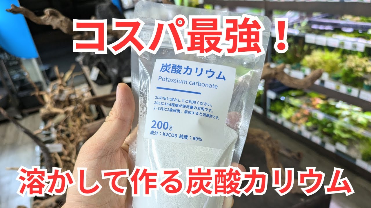 【水草水槽をコスパよく管理】これ1袋で2Lの炭酸カリウム液ができます！