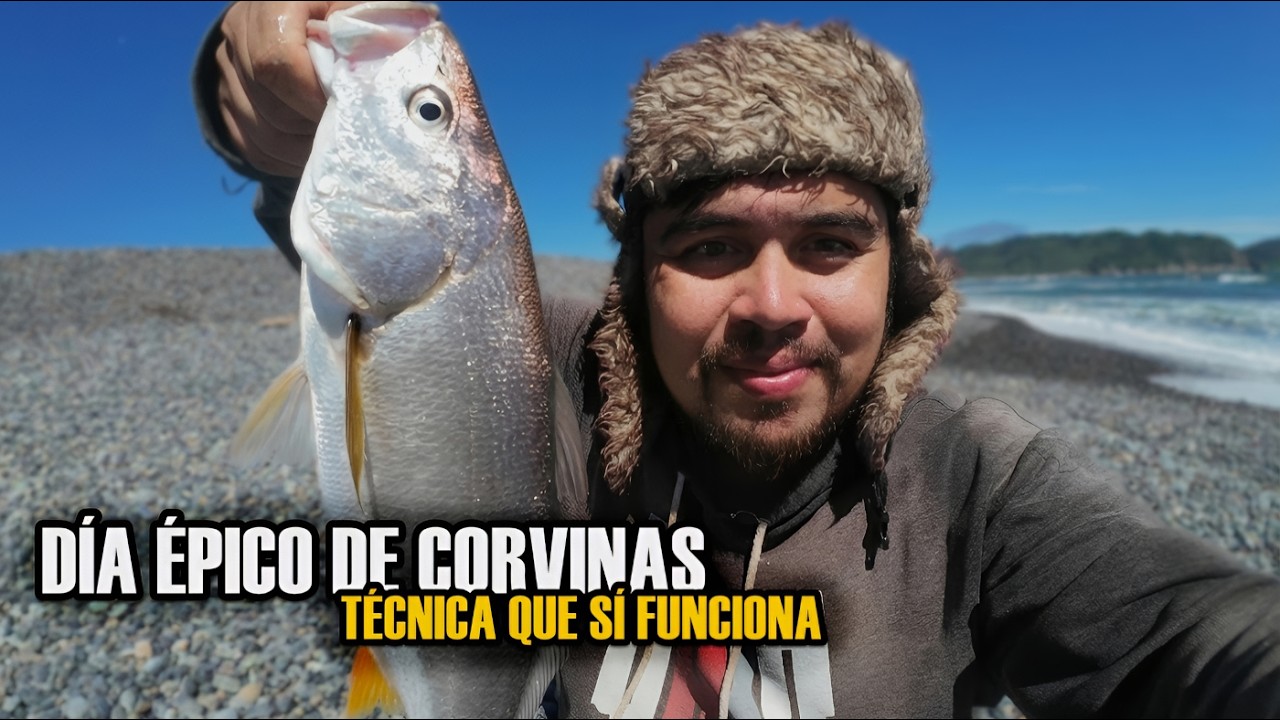 D&iacute;a &eacute;pico de corvinas | T&eacute;cnica que s&iacute; funciona