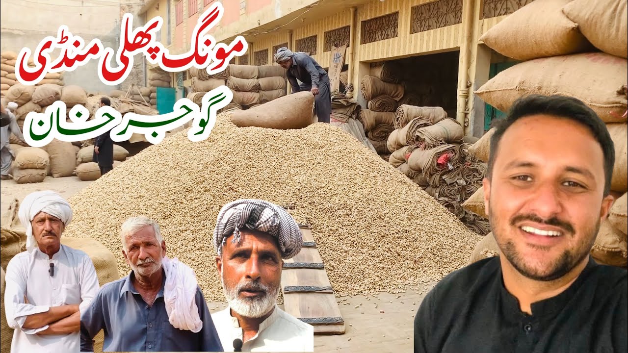 Mongphali ki Boli Ghala Mandi Gujjar khan || Peanut Rates