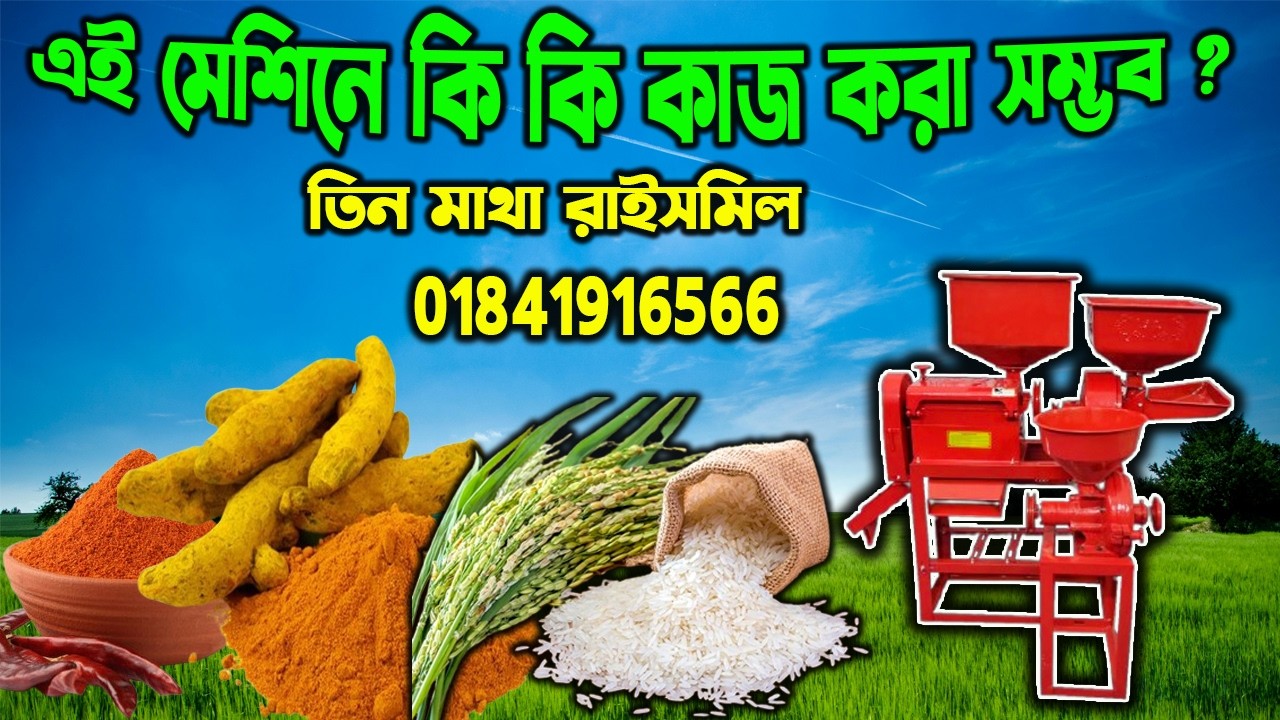 তিন মাথা মেশিন । mini auto rice mill price in bd | ৩ইন ১ মিনি রাইসমিলের দাম | মসলা ব্লেন্ডার