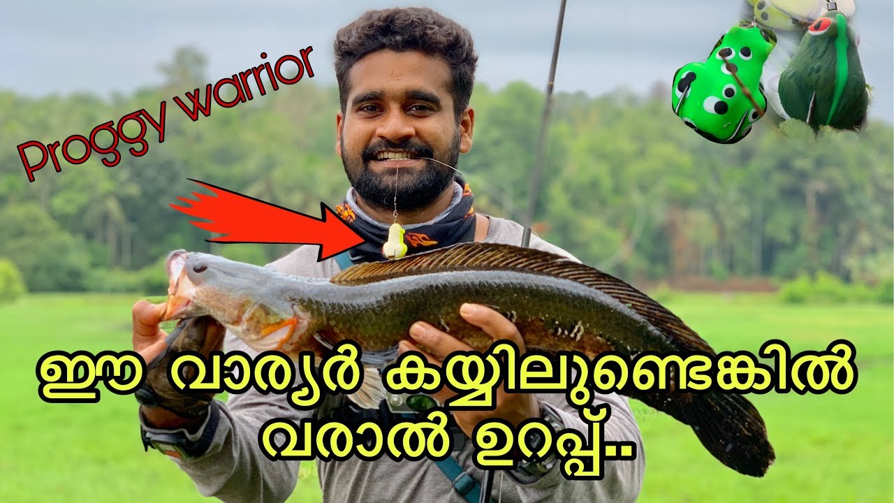 snakehead on proggy warrior|വാര്യരും വരാലും
