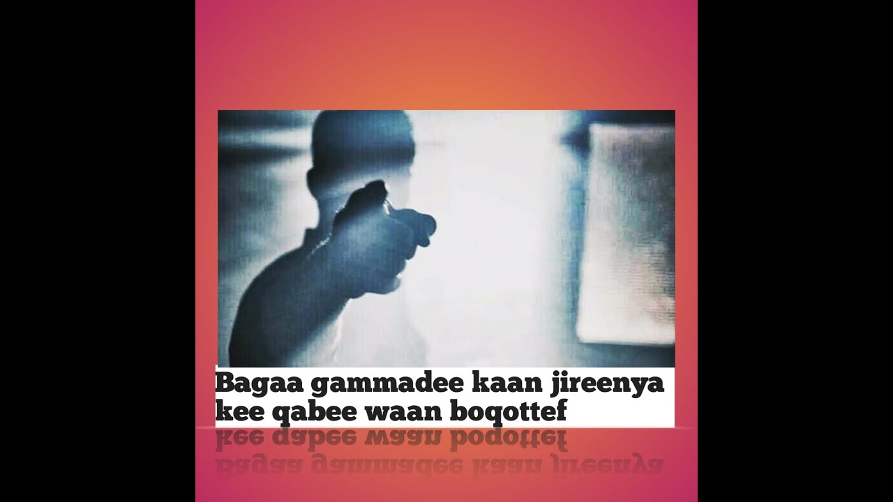 Bagaa gammadee iciti milkaainaa baru keetii atillee ni milkooftaa !