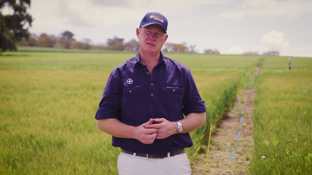 Mateno® Complete | New Weed Control | Barley Growers | 4:26