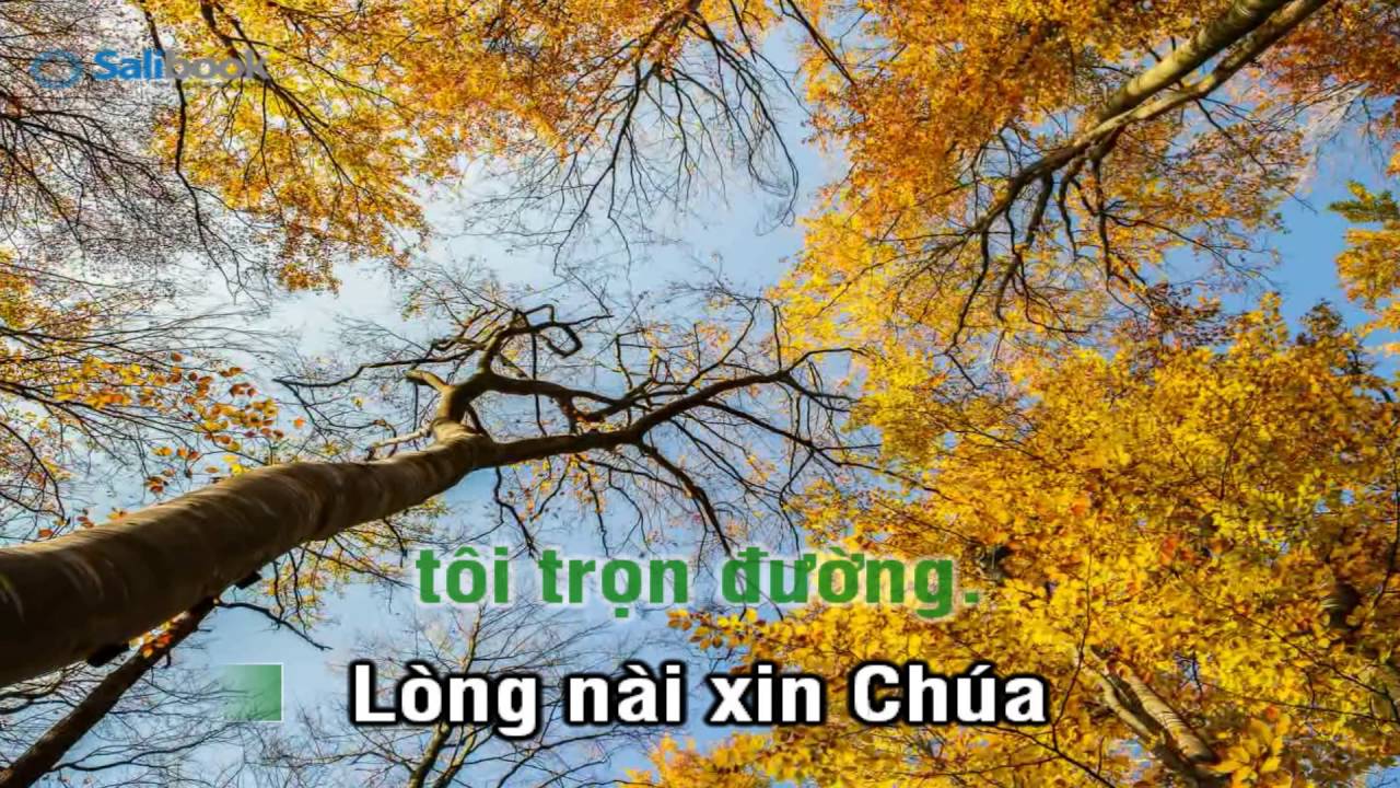 [Karaoke TVCHH] 050 - LỚN BẤY DUY NGÀI - Salibook