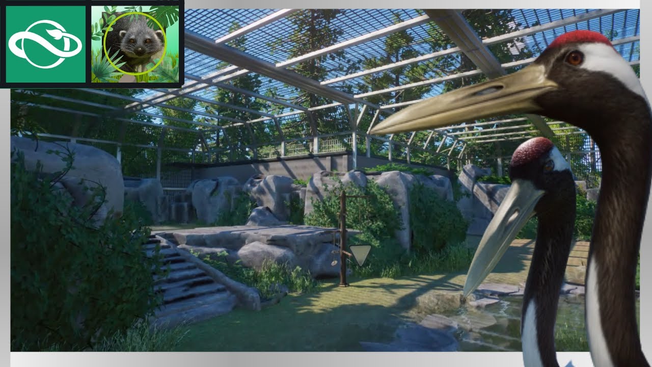 Red-Crowned Crane Habitat | Brixton Zoo | Speed build | Planet zoo | Aviary & Viewing