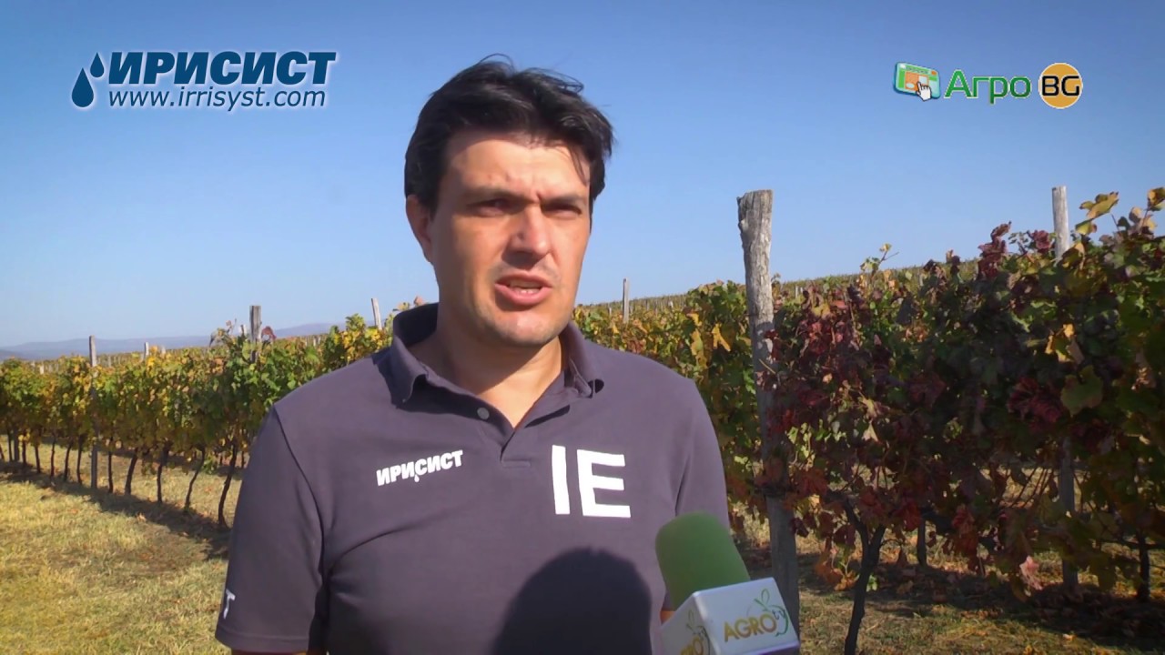 Автоматизирано подземно капково напояване на лозя