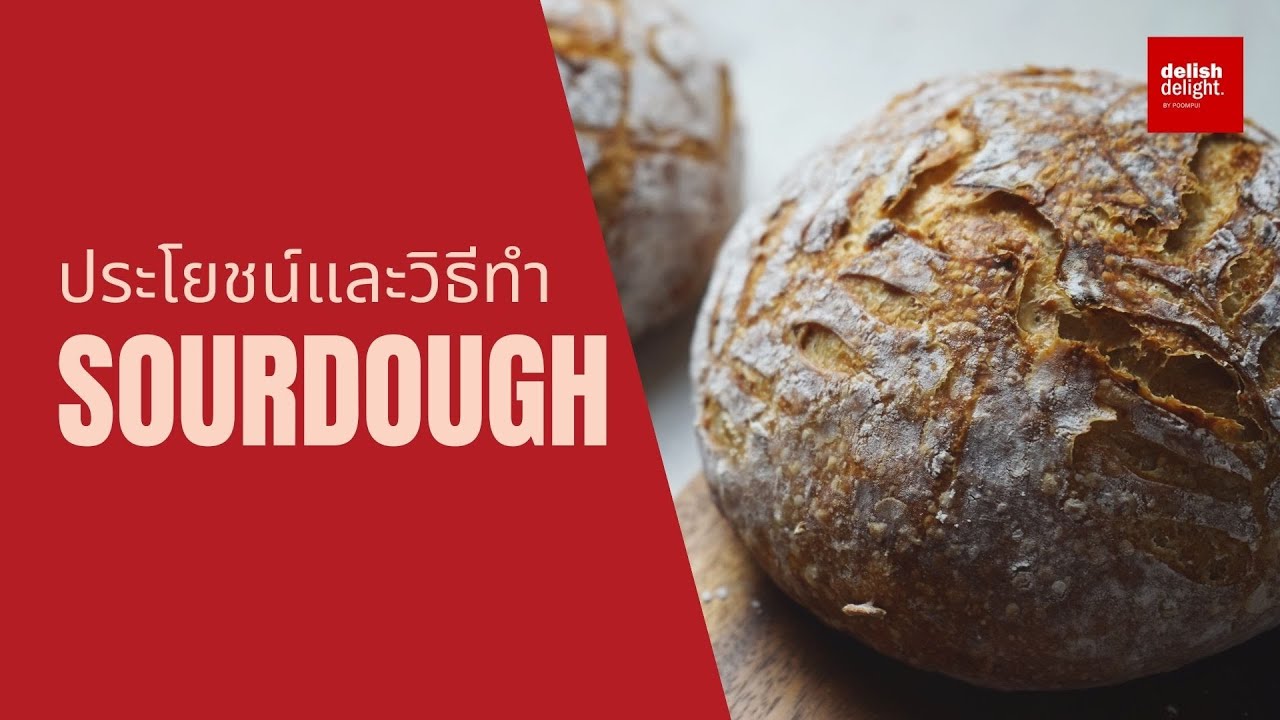 ประโยชน์และวิธีทำ Sourdough | ขนมปังเปลือกแข็งที่ไม่ธรรมดา มาดูกันว่าทำไม