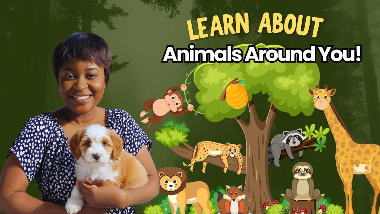 The Best Animal Tour for Kids! Learn Edo Words with Ms. Adesuwa