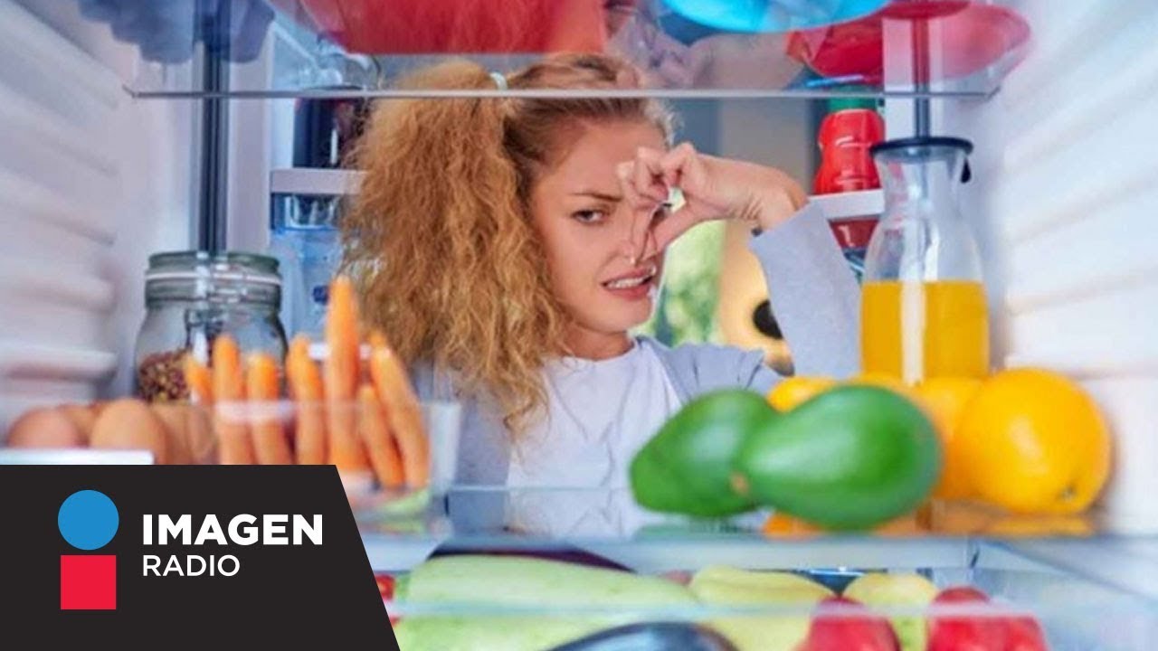 Quita los malos olores del refrigerador con estos sencillos pasos