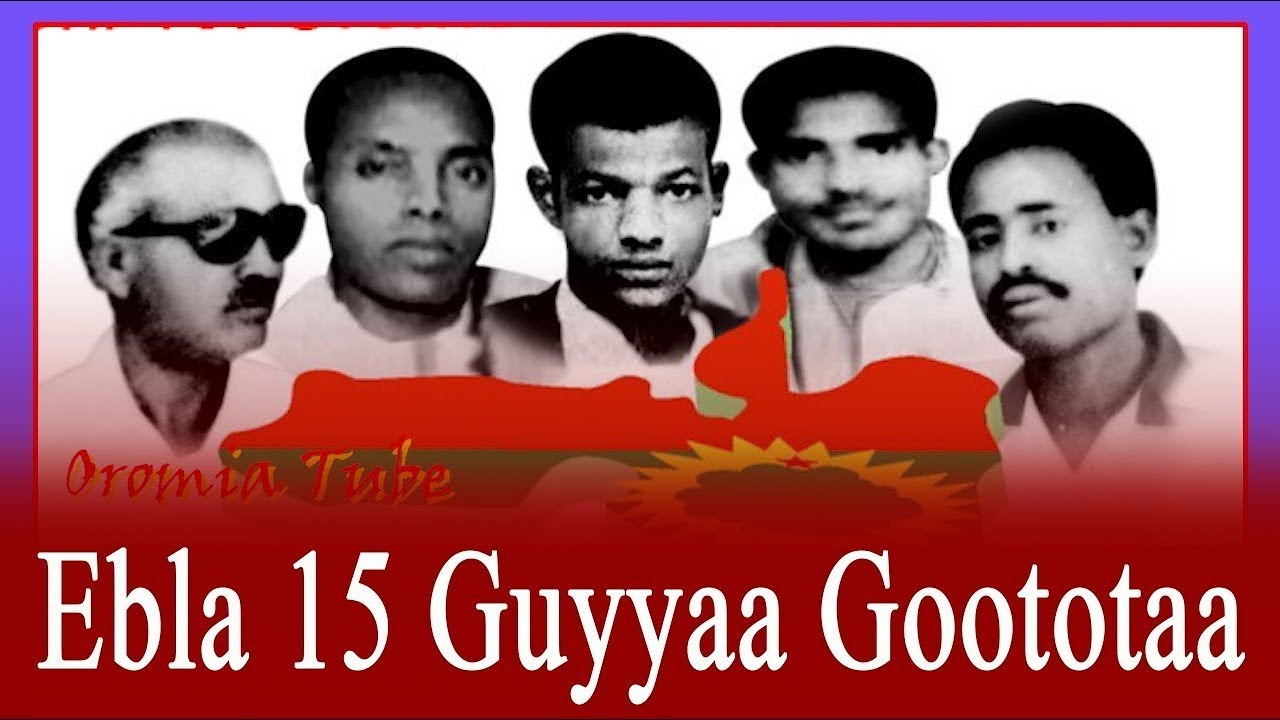 Guyyaa Gootota Oromoof Walaloo Eebla 15 Bara Baraaf Qophaa'e