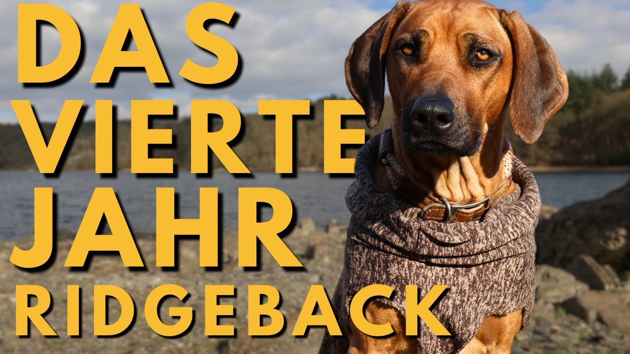 Unser RIDGEBACK ist erwachsen: DAS hätten wir anders gemacht