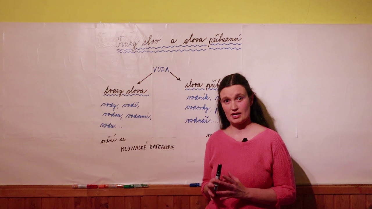 Český jazyk - Tvary slov a slova příbuzná