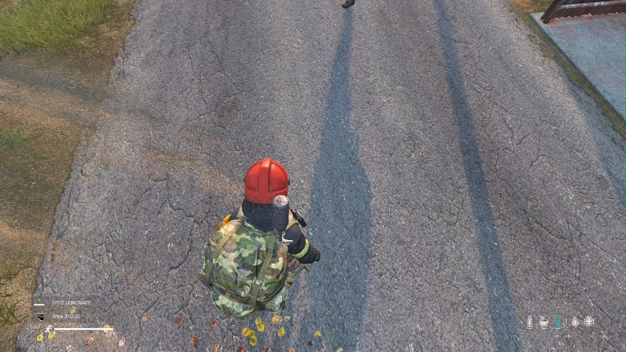 DayZ_roadside trading