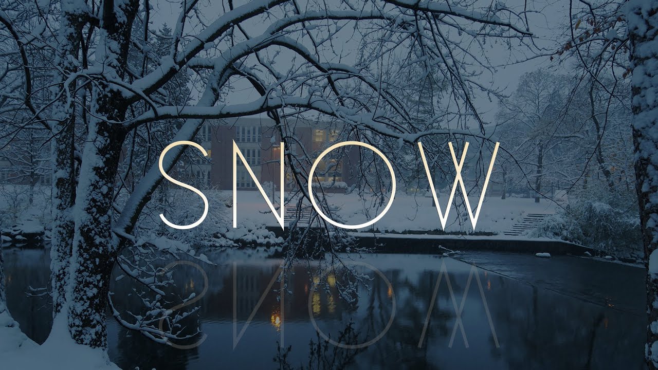 The Beauty of Snow at Michigan State University
