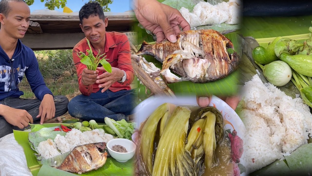បាយកញ្ចប់ប្រហុកតាមវាលស្រែឆ្ងាញ់