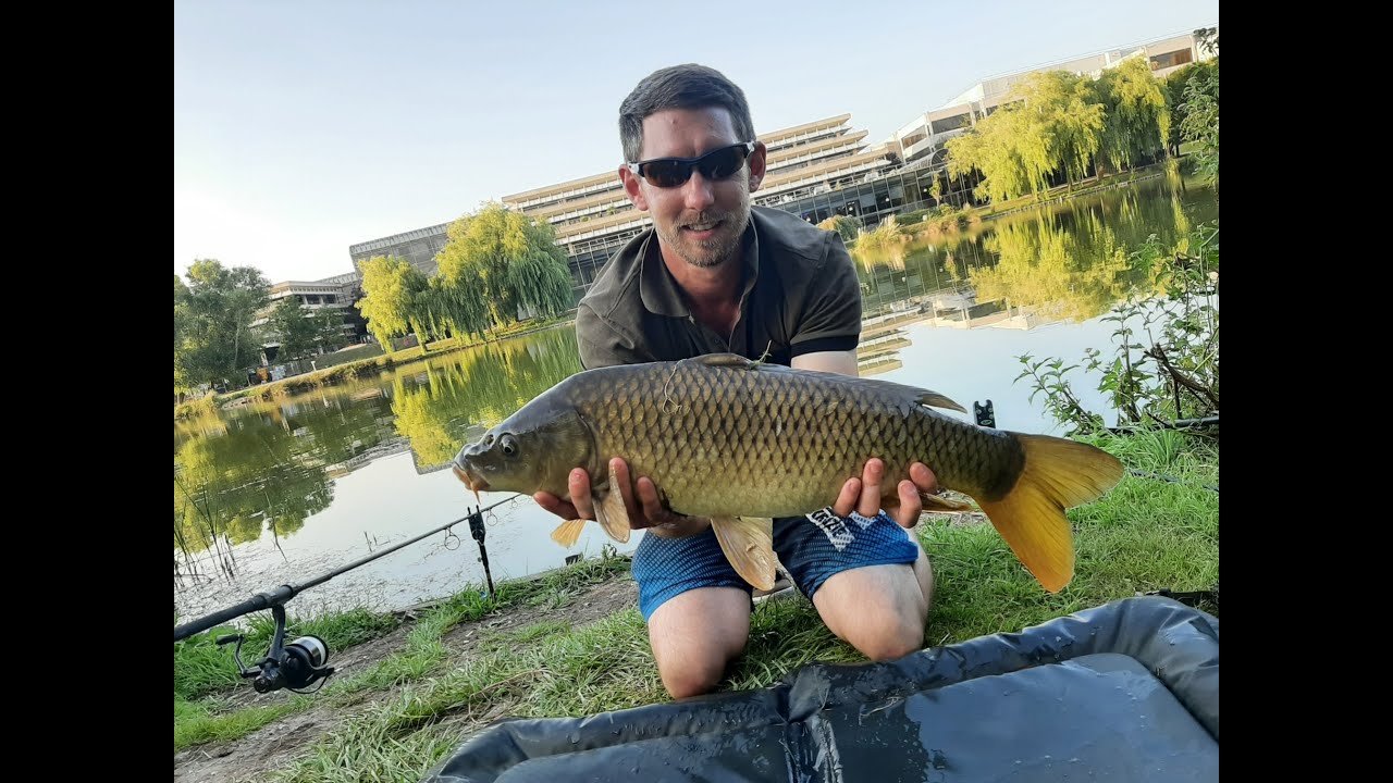 How to catch carp / Hints and Tips Carp Fishing at Lakeside