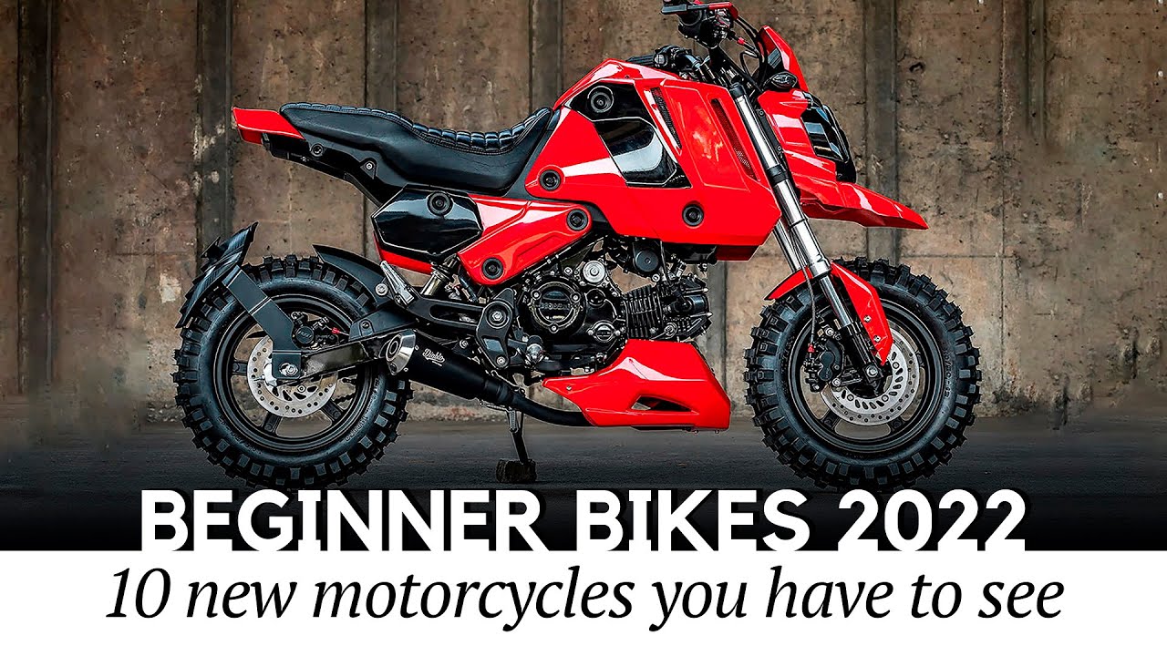 Top 10 Beginner Bikes and Mini Motos for a Young Thrifty Rider in 2022