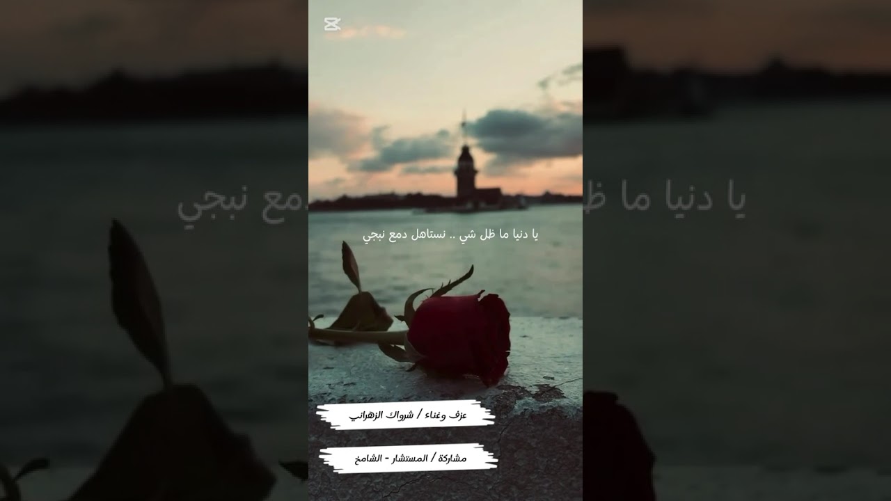 يادنيا دواره عزف وغناء شرواك الزهراني 
