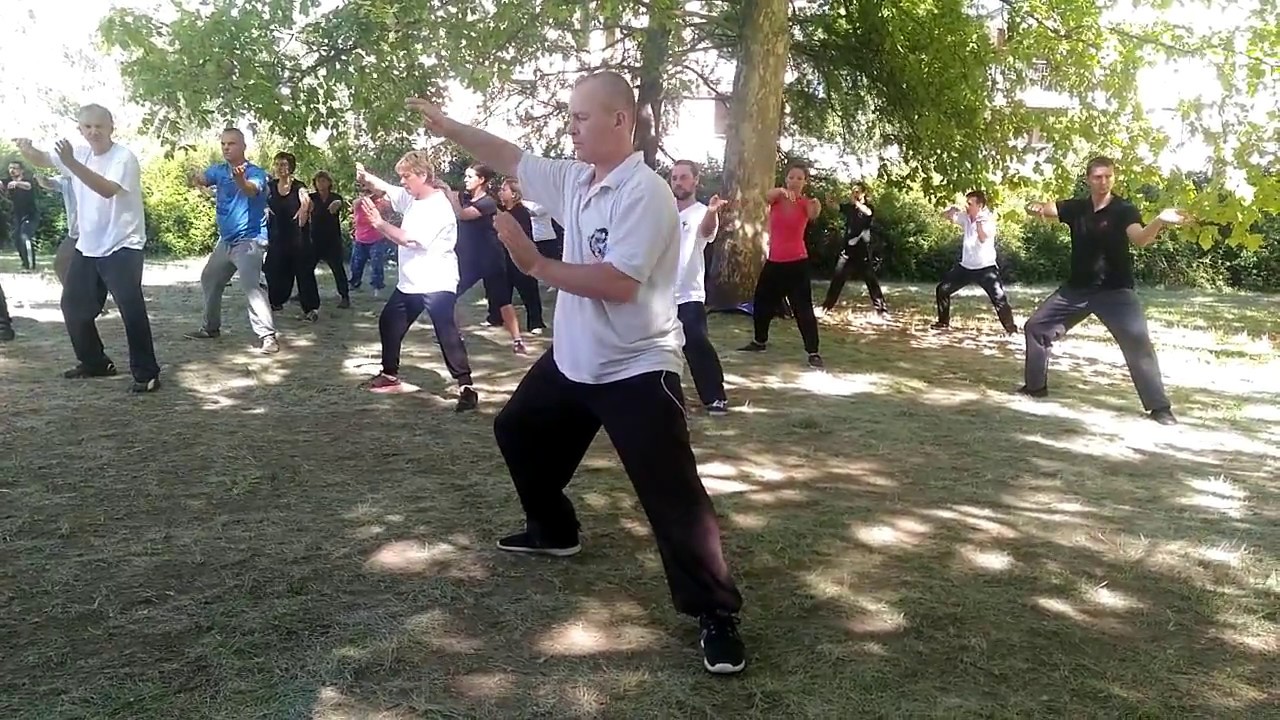 Chen Shi Xinyi Hunyuan Tai Ji Quan 24