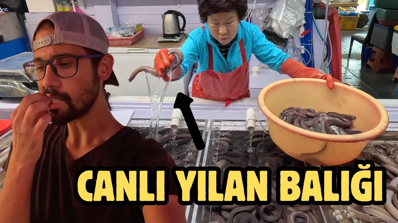 Güney Kore'nin En Büyük Balık Pazarına Gittim - Busan Sokak Yemekleri 🇰🇷