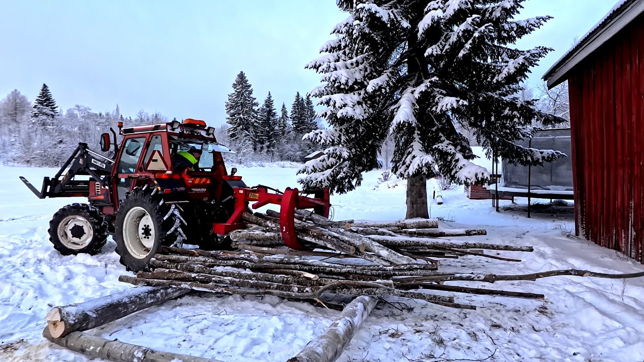 Tehdään pinopohja,ajetaan rankoja ja syödään myyrä