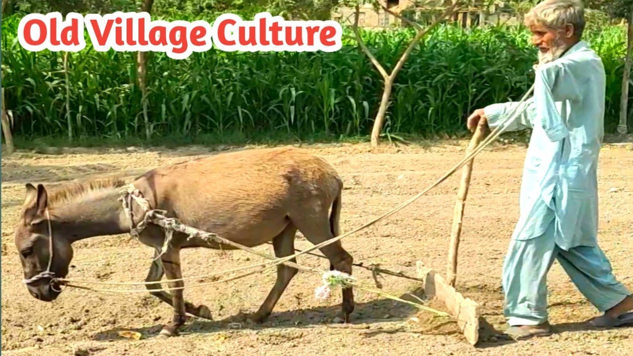 Revival of Traditional Culture in Pakistan Villages | Coping with Inflation Amongst the Marginalized