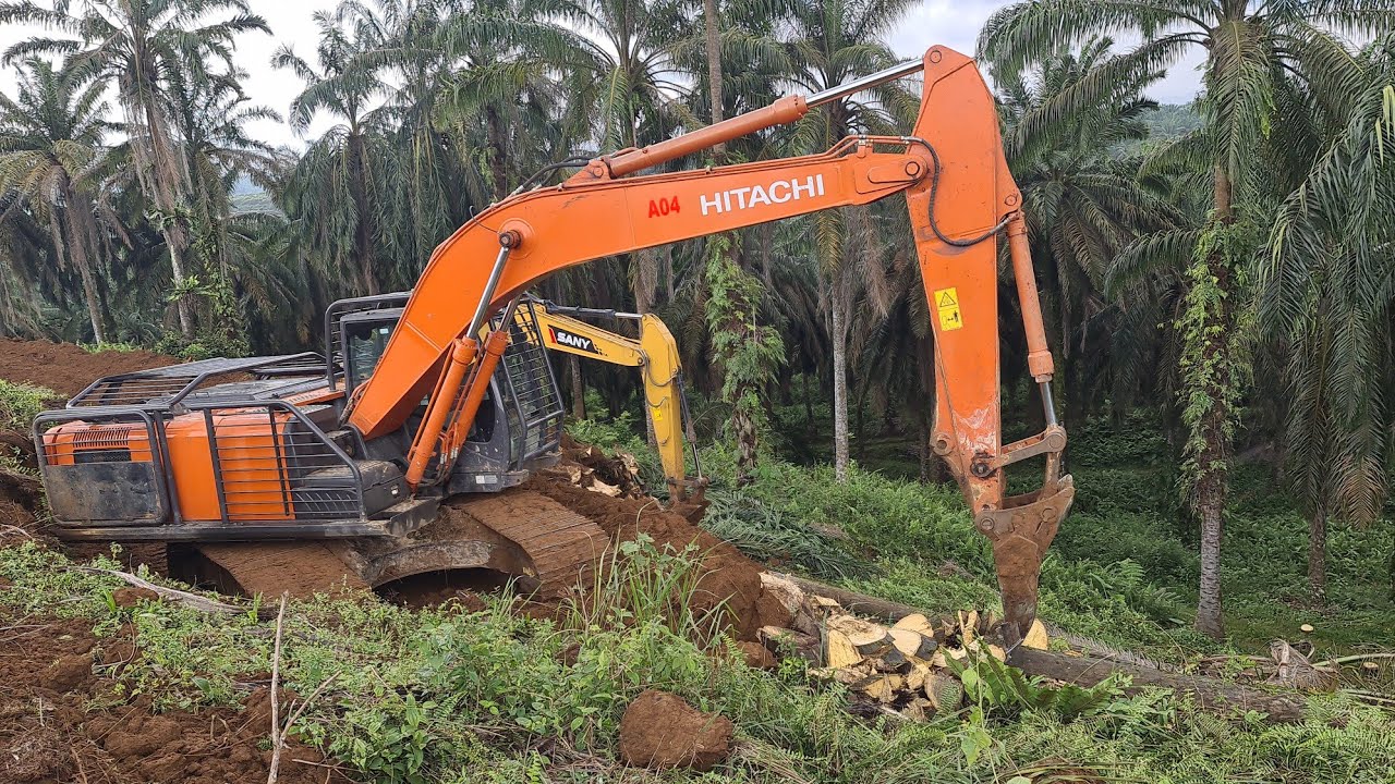 Proses Tumbang dan Chipping Pohon Kelapa Sawit dengan Excavator Hitachi