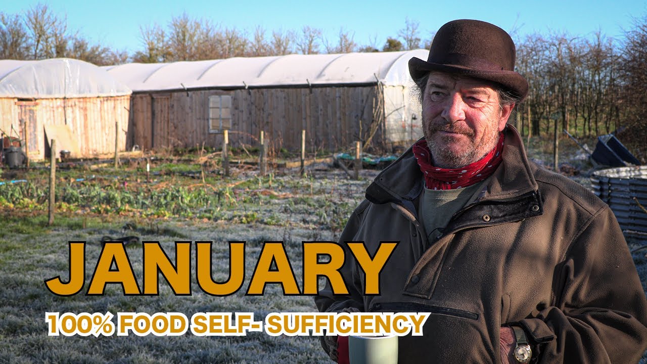 Day 142 living 100% food self-sufficient | Episode 9