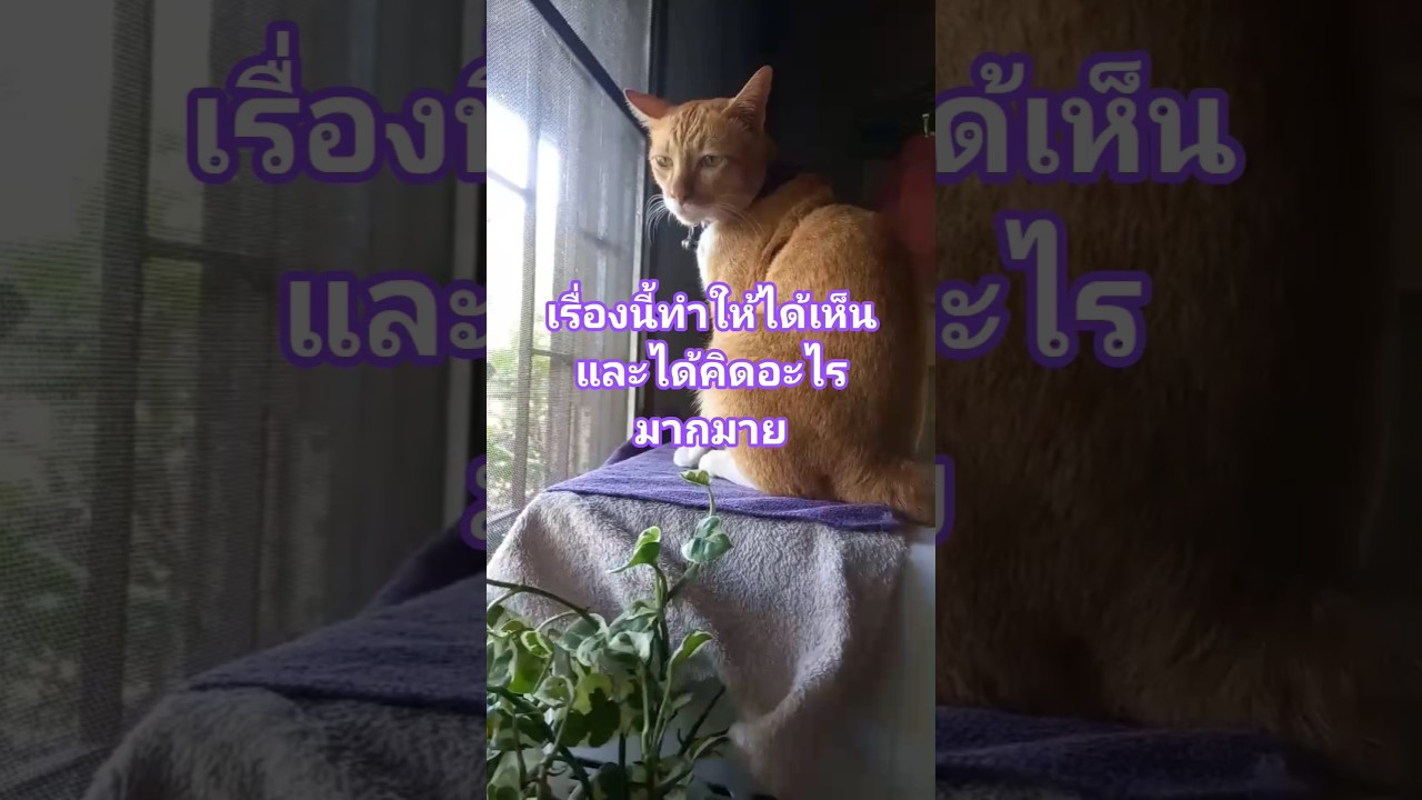 เรื่องของสัตว์โลก