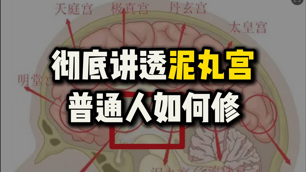 彻底讲透“泥丸宫”是什么？普通人如何“元神出窍”？#泥丸宫#松果体#丹田#站桩#道家