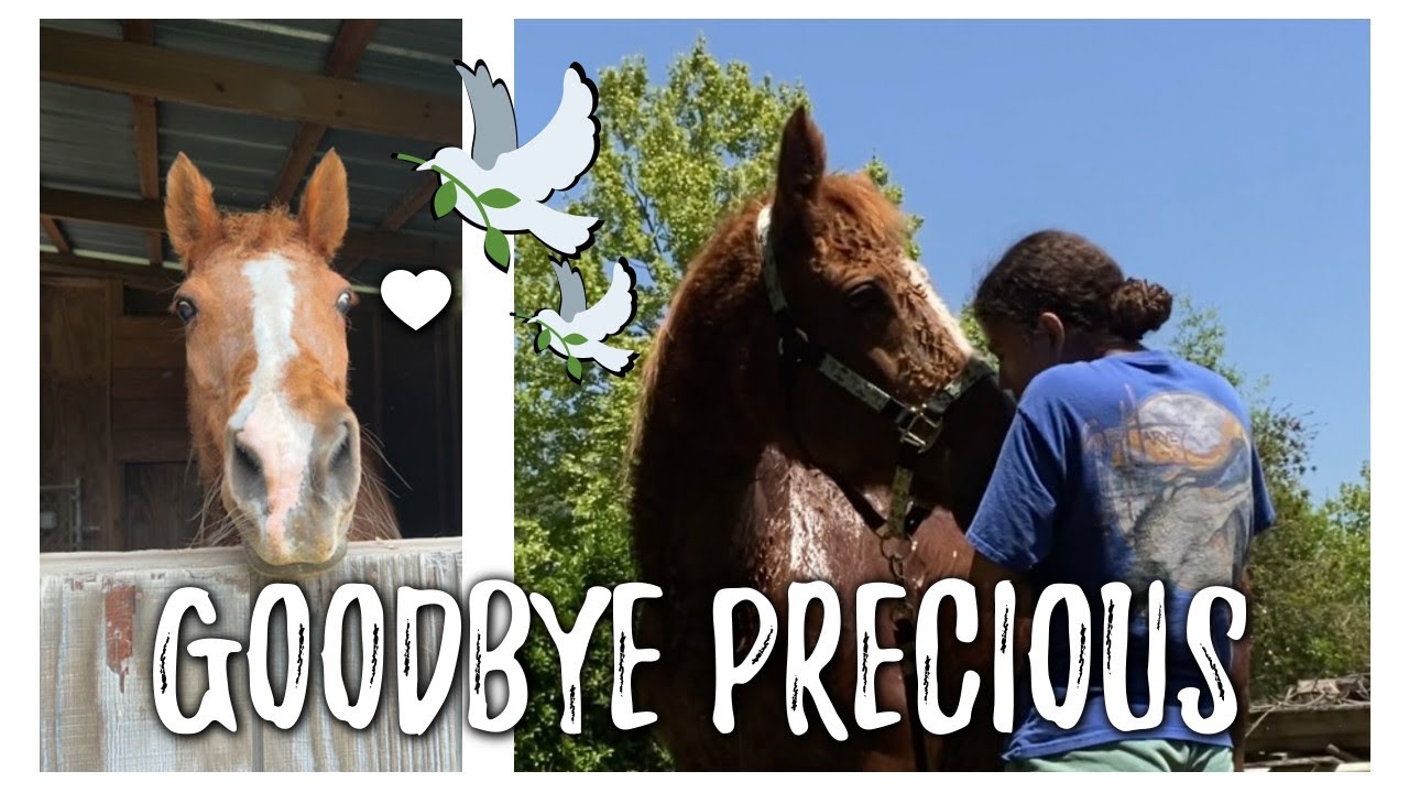 Precious passed away.