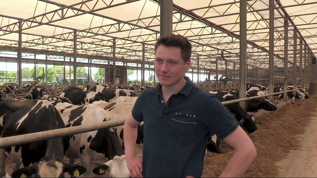 De eerste snede in Emmer-Compascuum