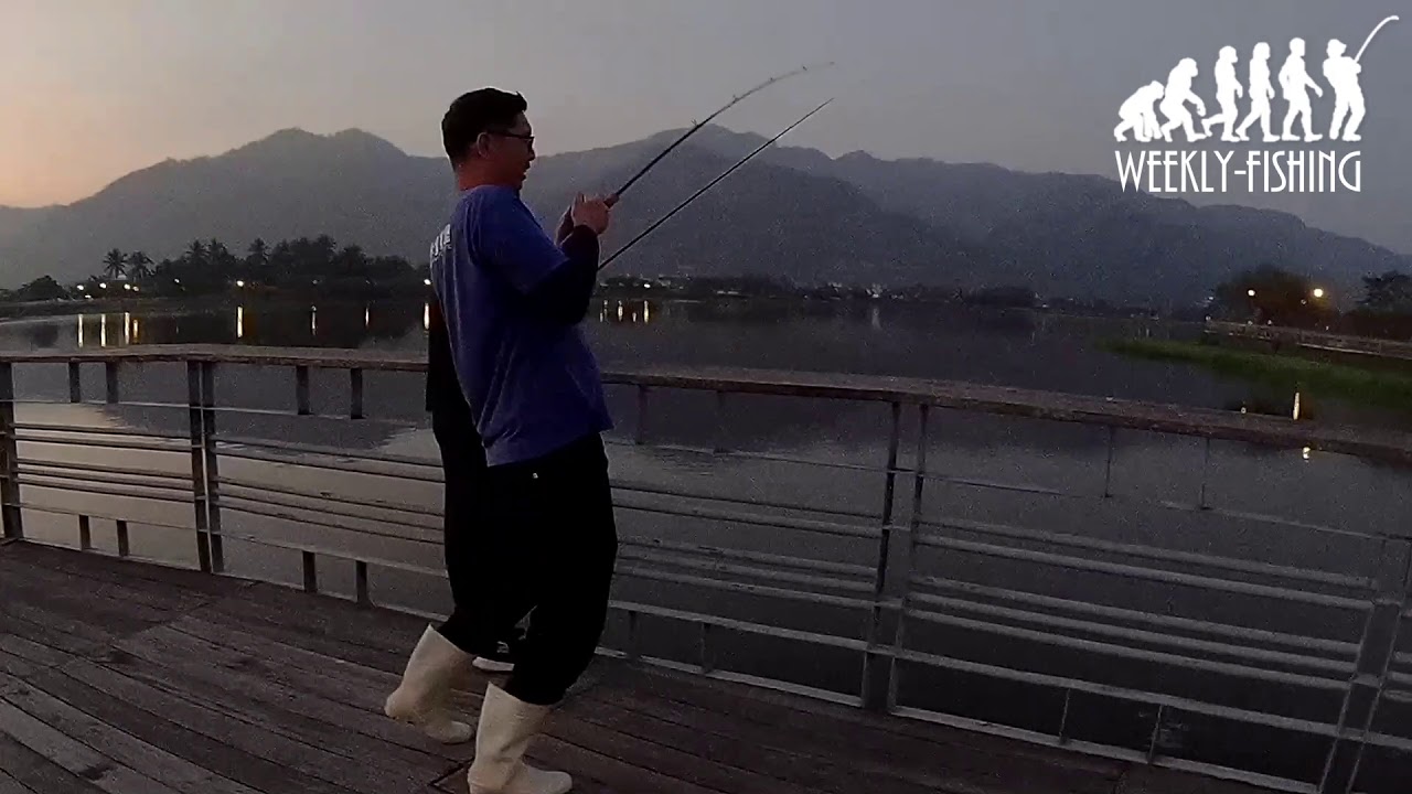 WEEKLY-FISHING LURE 路亞 擬餌 軟蟲 泰國鱧 中正湖