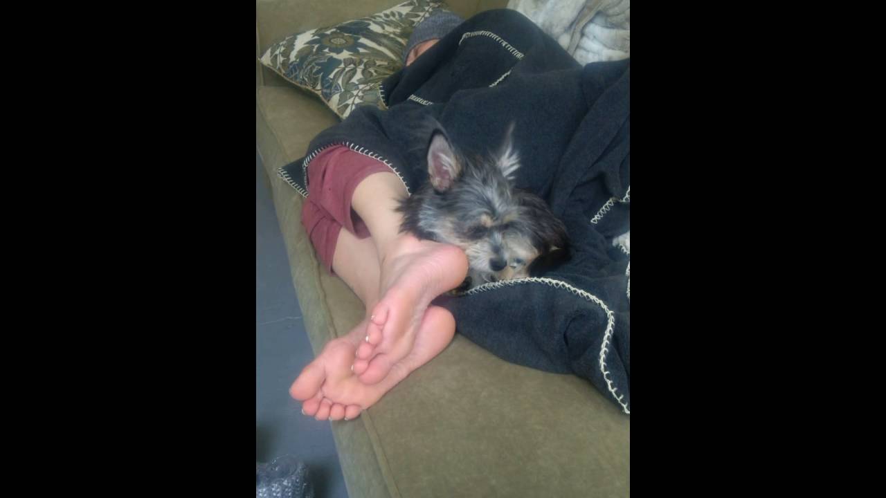 Monty licking mama's feet