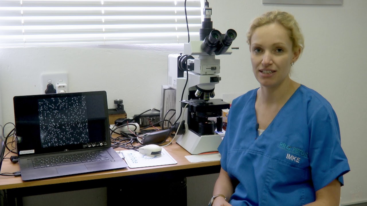 Feline Medicine & Reproduction Workshop at UKUTULA (HD)