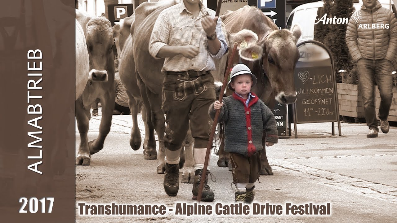 Almabtrieb / Alpine Cattle Drive Festival (16.09.2017)