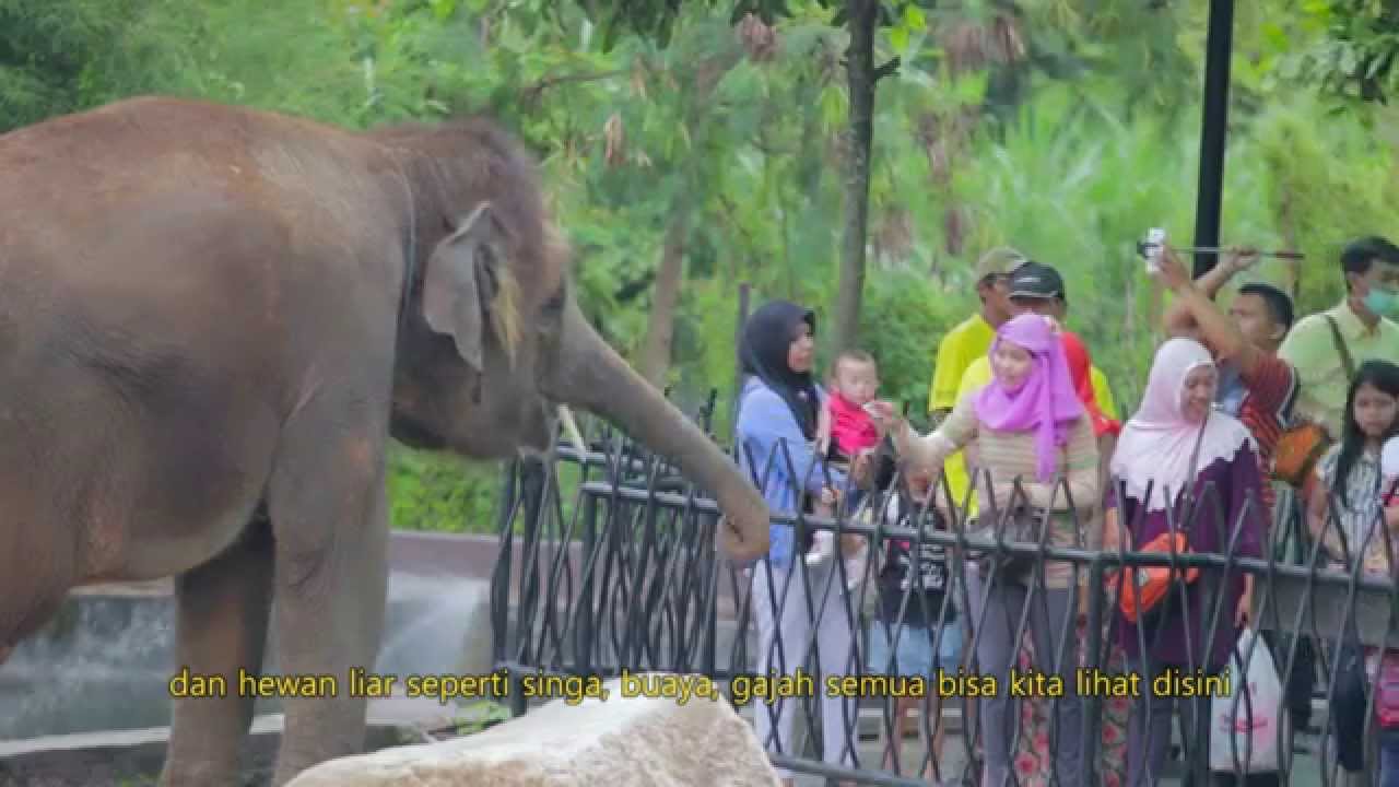 PROFILE JATIMPARK 2 2015