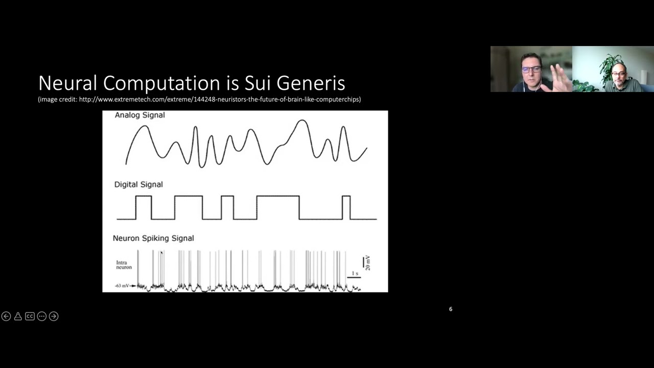 Brain representations by Gualtiero Piccinini