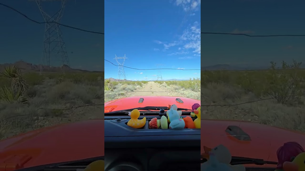 Exploring Highland Range Crucial Bighorn Habitat off Highway 95 in Nevada 