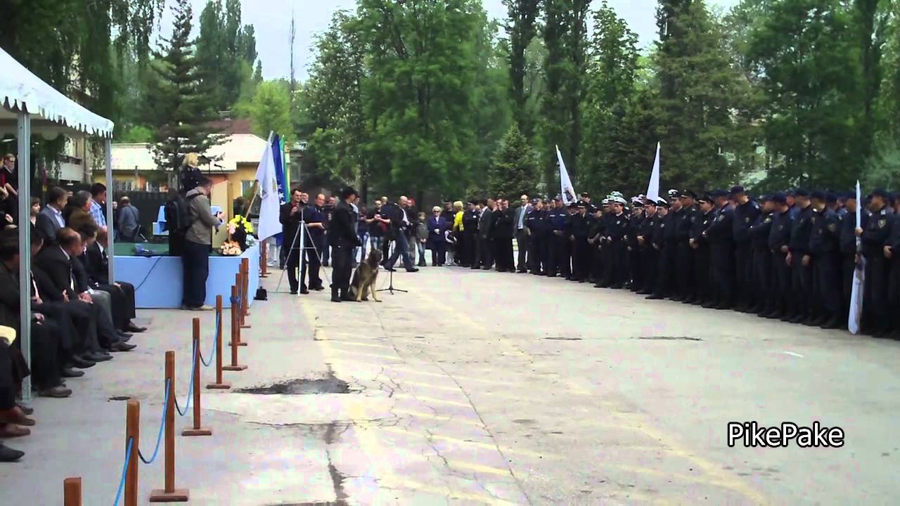 Police Day - Police dogs - Dan Policije - Policijski psi - Zenica 2011