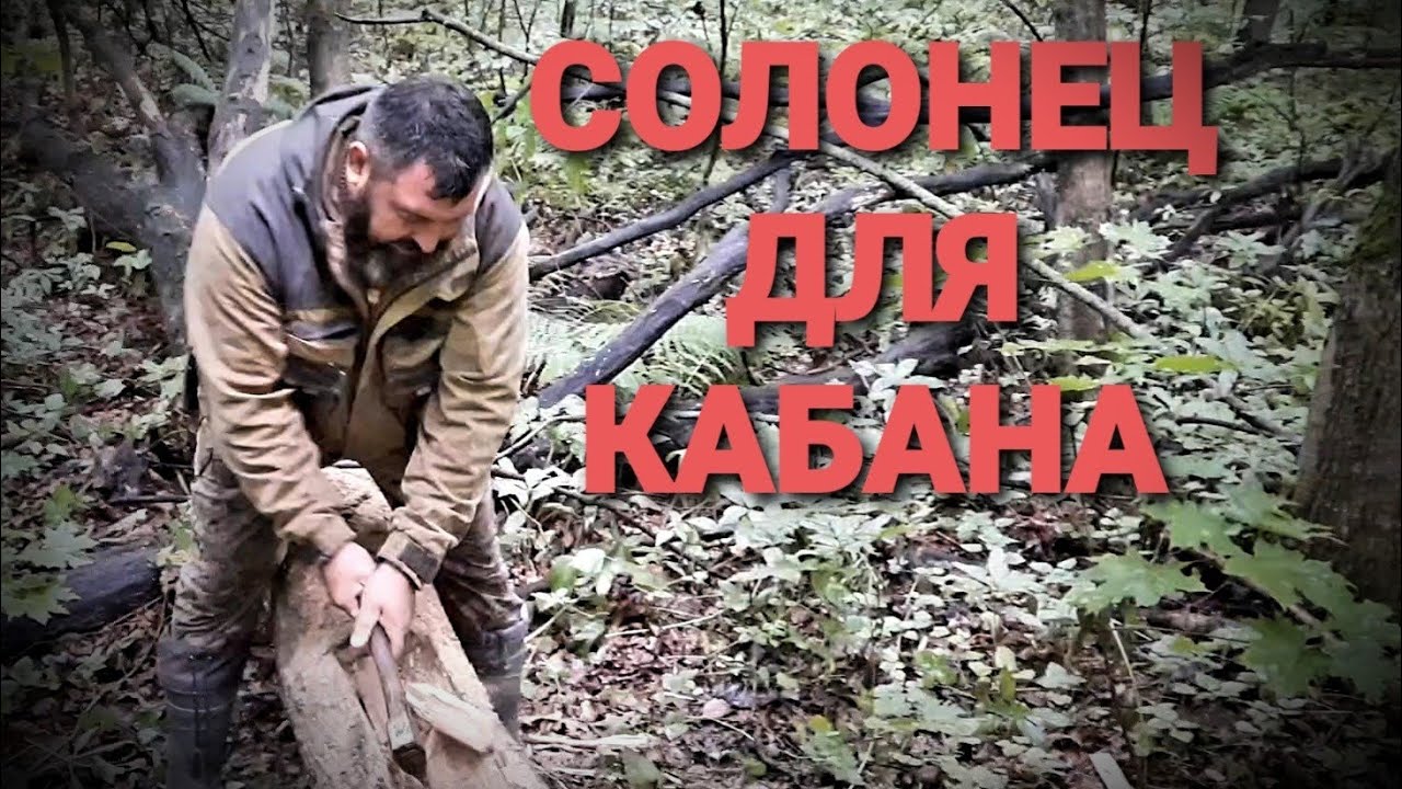 СОЛОНЦЫ в ЛЕСУ ДЛЯ ДИКИХ ЖИВОТНЫХ, САЛЯРКА ДЛЯ КАБАНА.