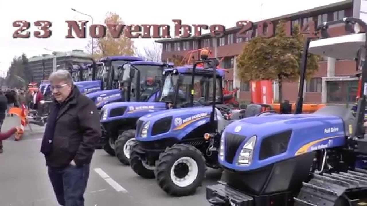 Fiera di Santa Caterina 2014